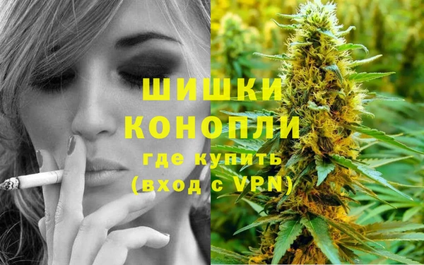 ГАЛЛЮЦИНОГЕННЫЕ ГРИБЫ Наволоки